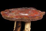 Arizona Rainbow Petrified Wood Table With Wood Base #94517-2